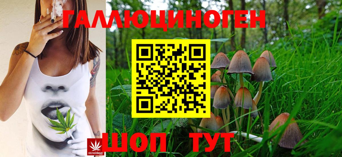 Псилоцибиновые грибы Psilocybine cubensis Кунгур